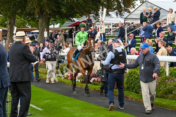 210824-Race 1-Jm Jungle-4728 - Race 1 1.50pm Symphony Group Handicap