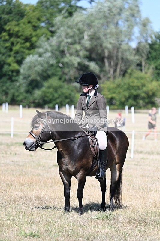 WJ7_4116 - Class 9 Mountain & Moorland Ridden