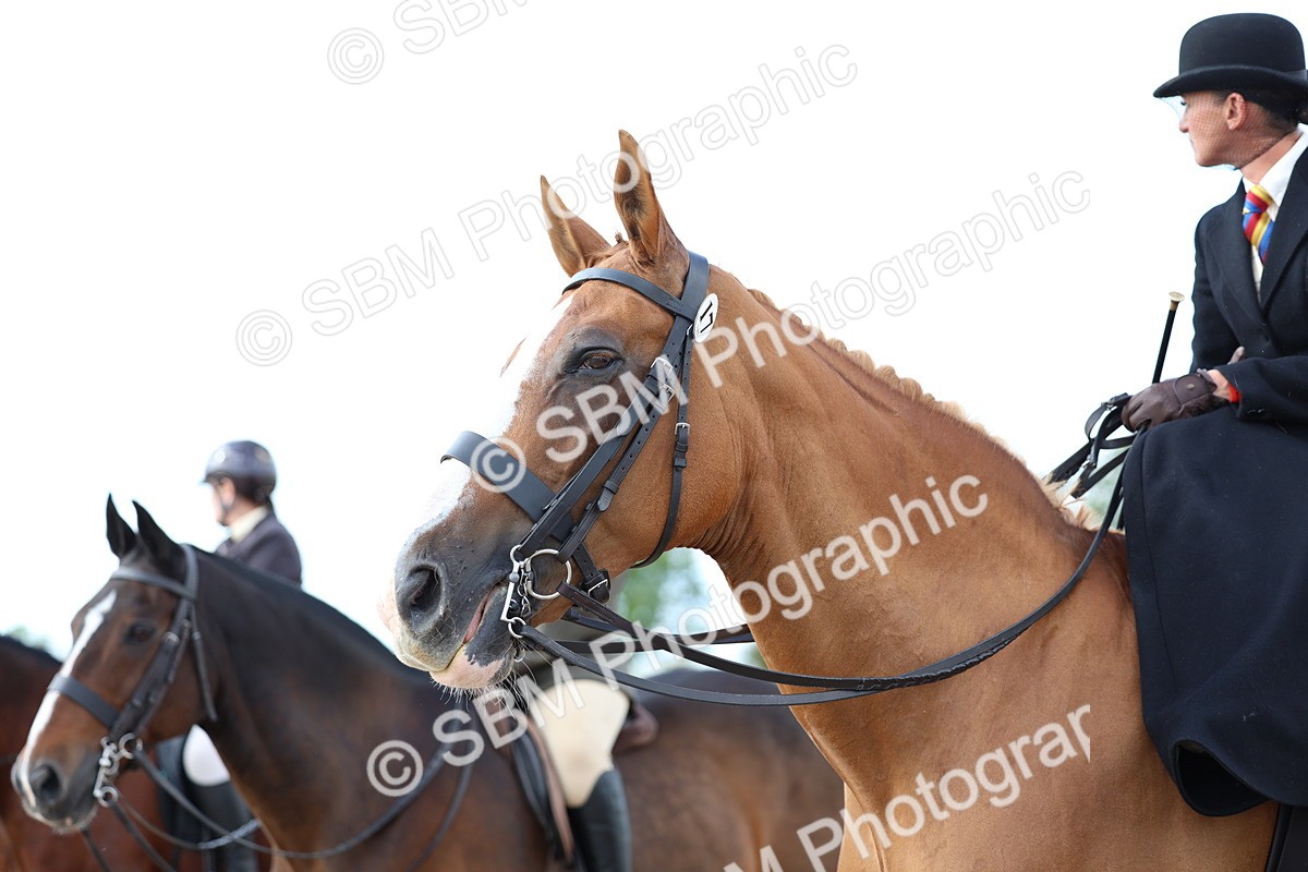 SBM_17246 - Class 315 - Best Horse - Rider Combination