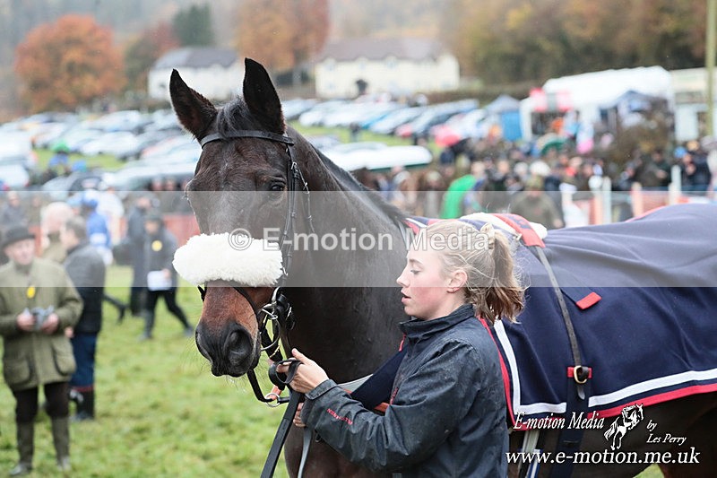 PtP 091125 0953 - Point-to-Point Wales Area Club Lower Machen, Gwent 09/11/25