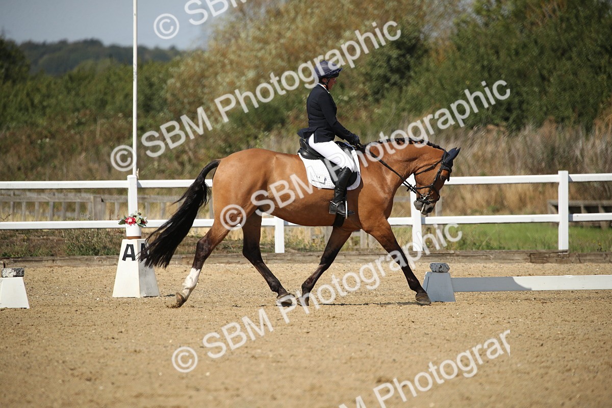 SBM_005022 - Class 11 - Novice 5 - 11.41-12.58