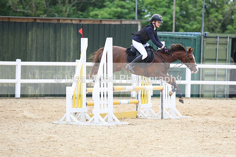 3E7A0102 - Class 13: Pony British Novice/80cm open