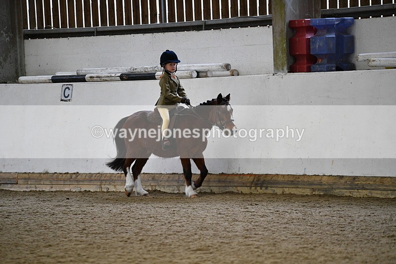 WJ5_6518 - Class 10 Childs Pony