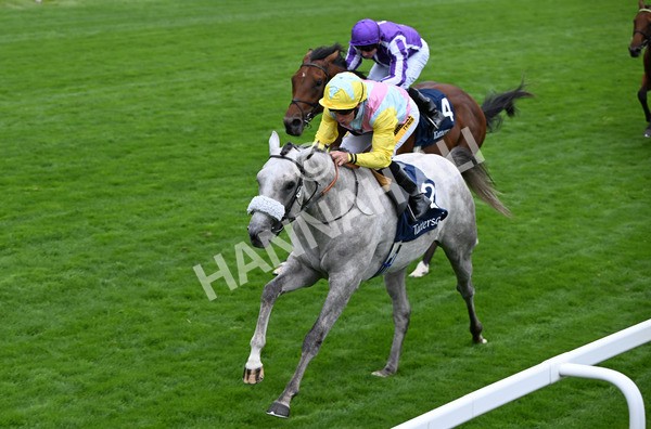 200825-060 Gewan - Race 2 2.25pm Tattersalls Acomb Stakes
