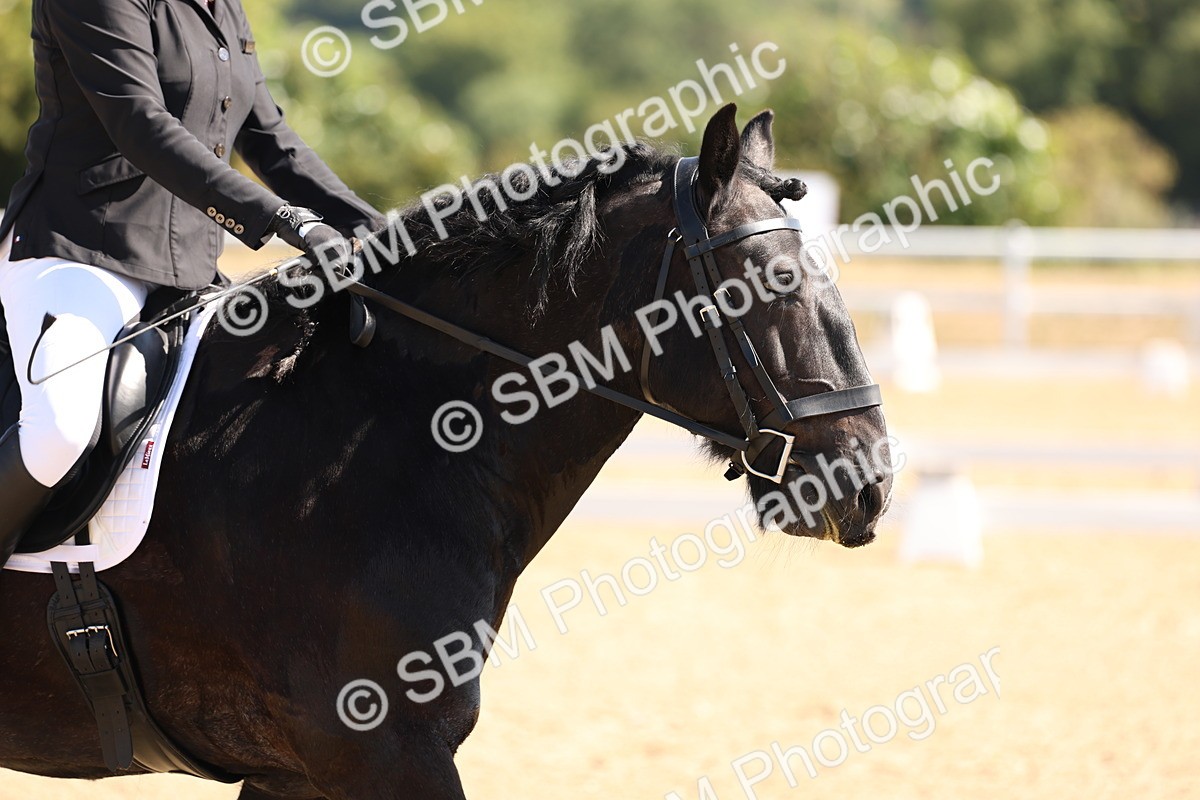 SBM_001053 - Intro 2