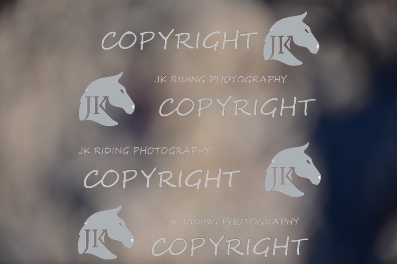 SBP_0908 - 10am - 11am