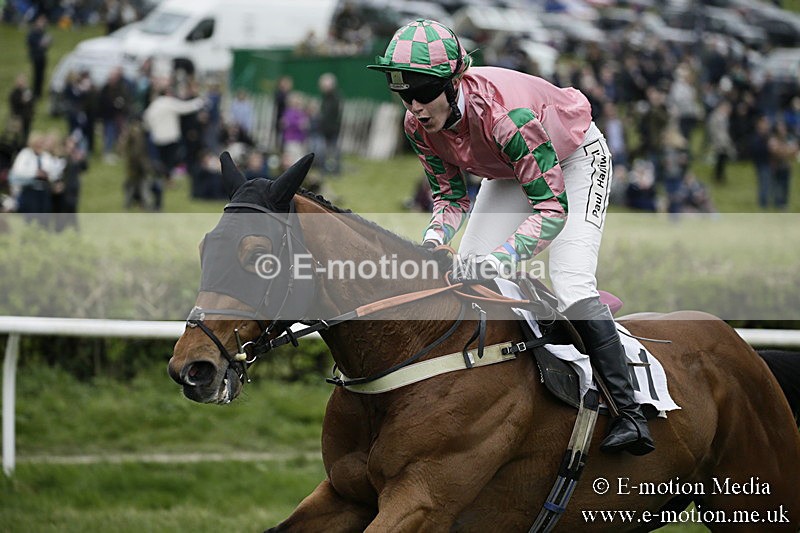 PtP 170417 573 - Old Berks Point-to-Point Lockinge 17/04/17