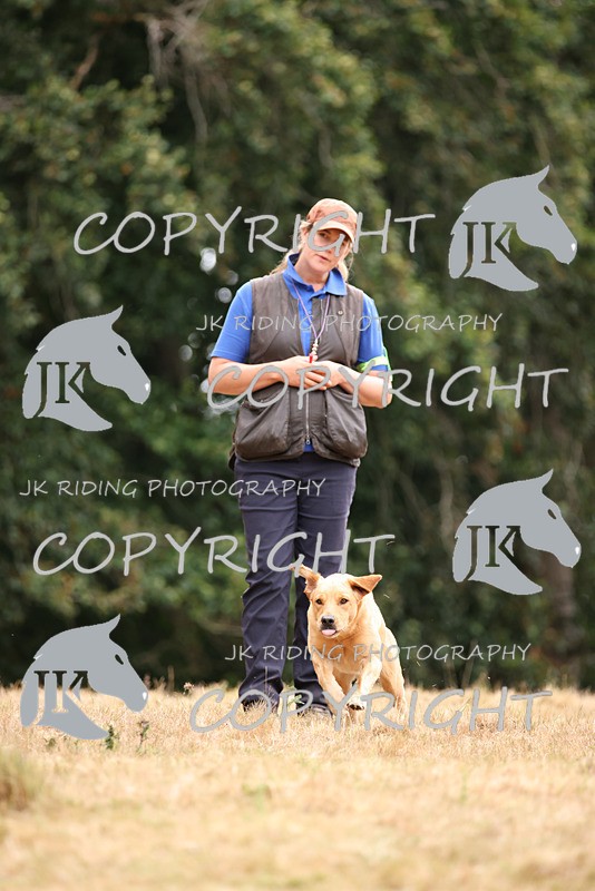 2R6A3535 - ​TEAM A: BORDER COUNTIES & COTSWOLDS 1-2-3