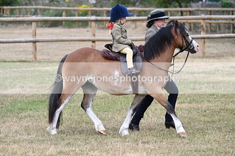 WJ7_9646 - Class 1 Lead Rein Pony
