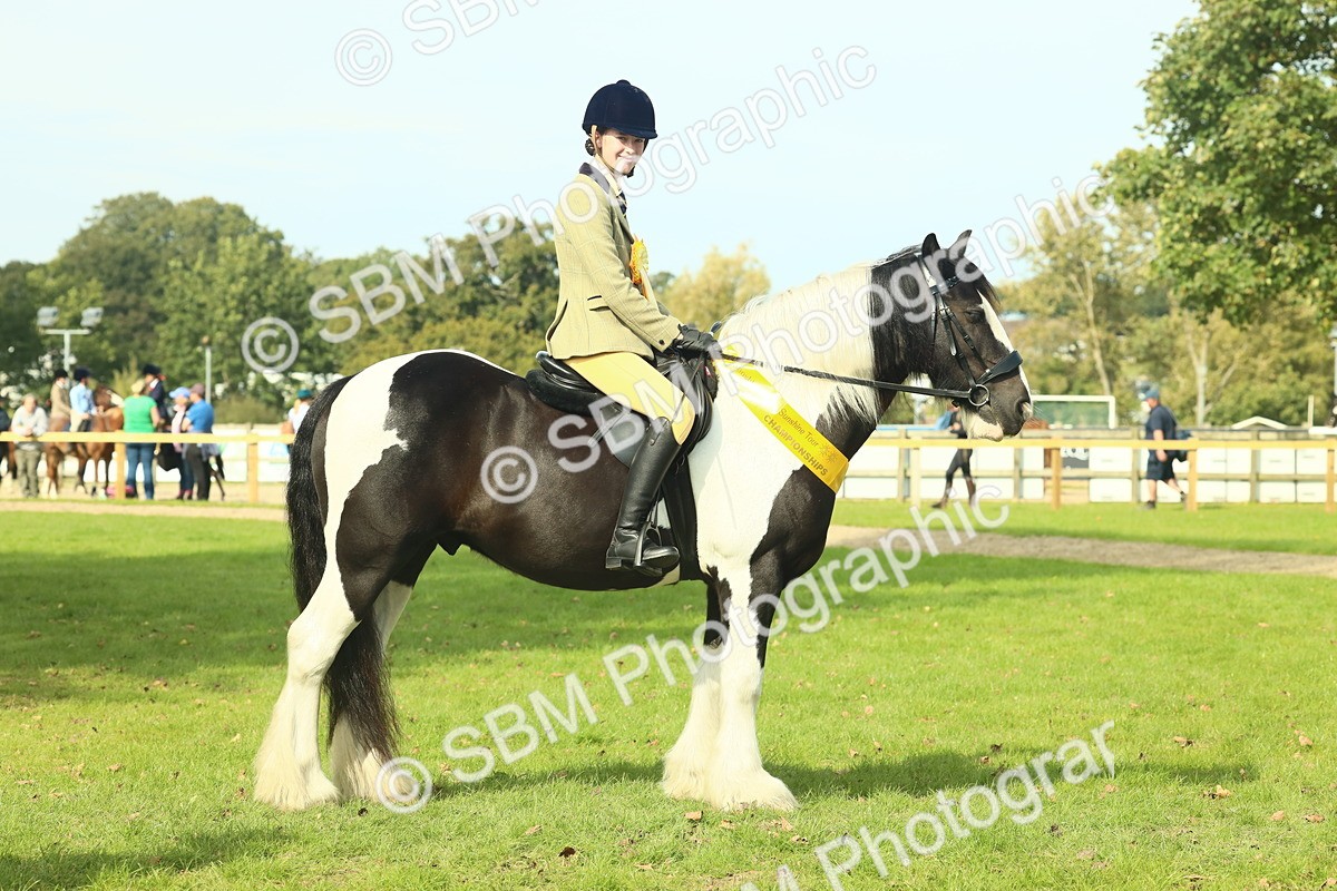 SBM_68969 - S58 - Mini Show Cob Ridden