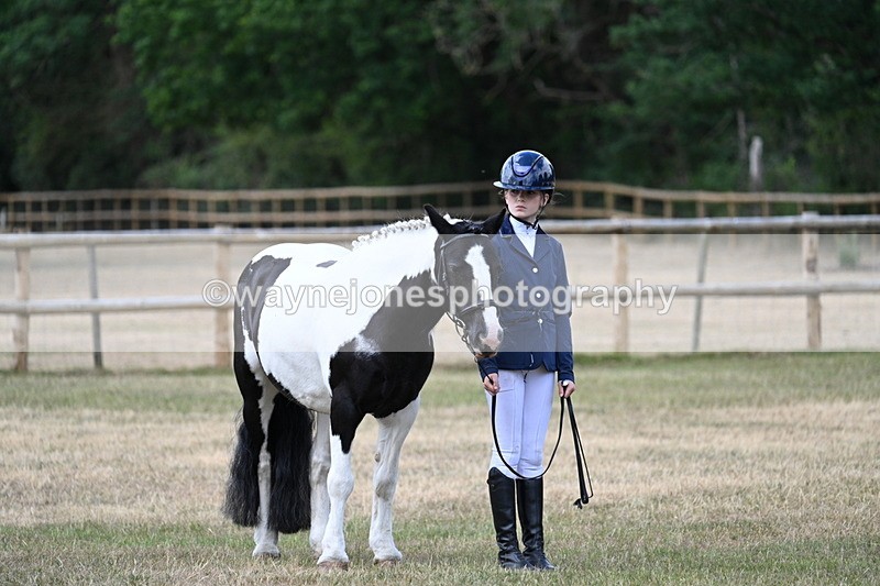 WJ7_1554 - Class 4 Prettiest Mare up to 14.2hh in hand