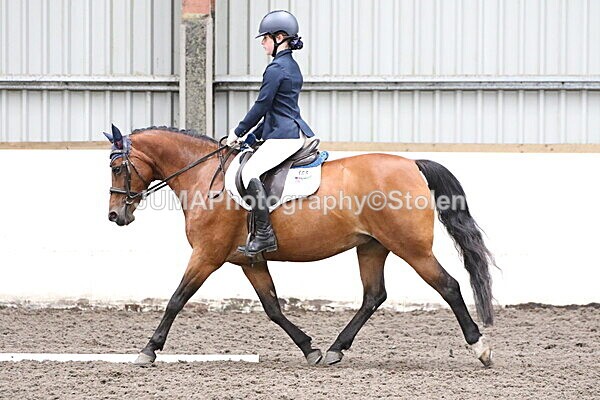 SIAL4987 - CAbin Dressage 5th july 2025