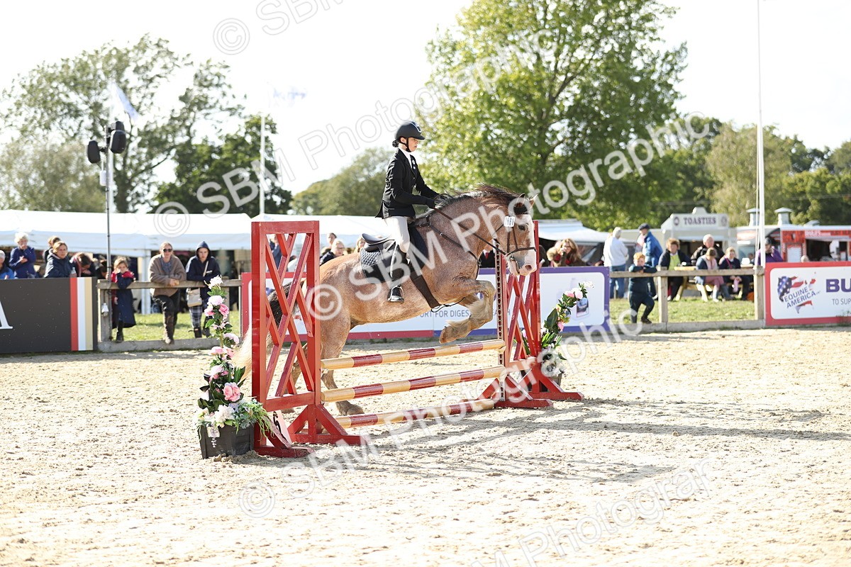 SBM_49587 - J22 - Junior Horse 65cm Championship