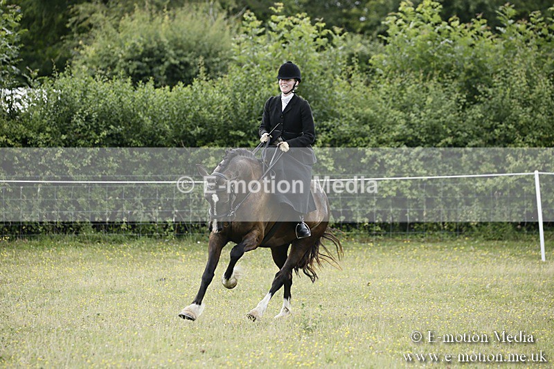 BVR160717-1653 - Side Saddle Classes 16/07/17