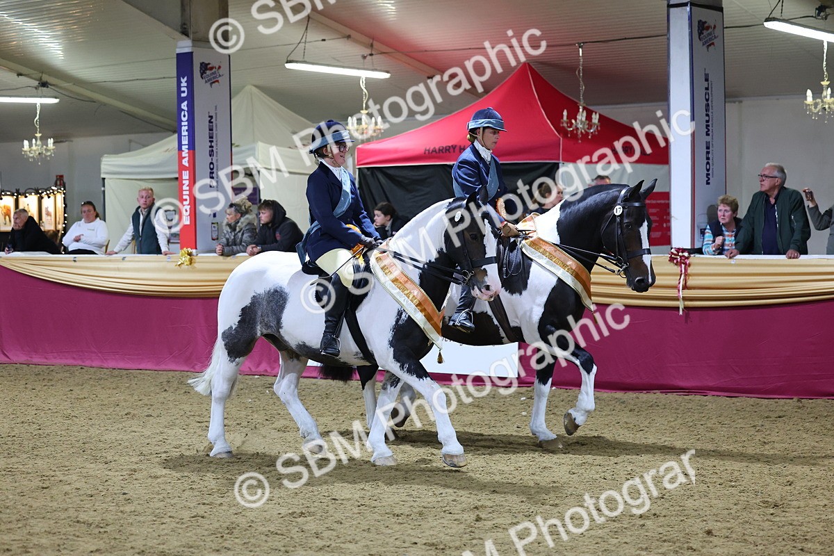 0B8A4358 - Class M Ridden Pairs Champ
