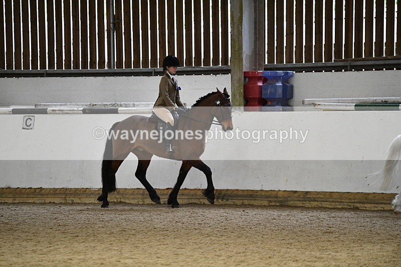 WJ5_7421 - Class 11 Ridden PC - RC Pony