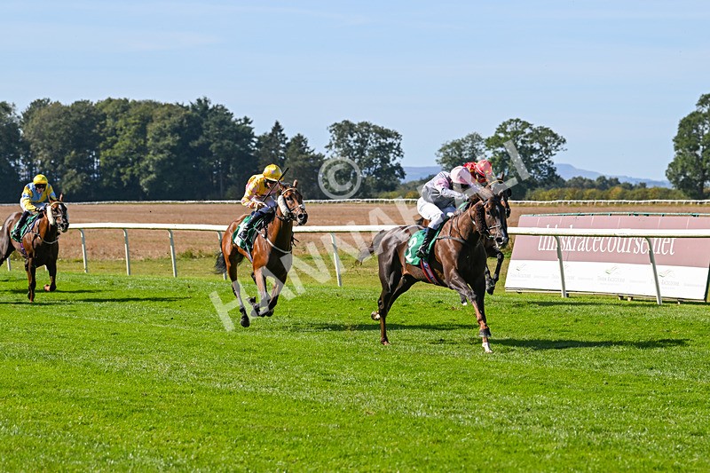 160924-Race 1-Susiesparkle-2501 - Race 1