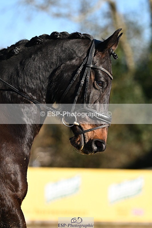 260214-100514-03398 - 032-Lucie.Stokoe