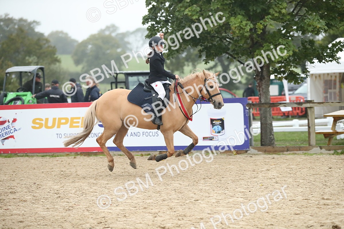 SBM_74336 - Supreme championship Junior Pony 70cm 75cm