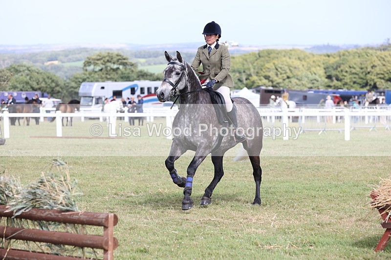 JPP_2593 - Class 20: Working Hunter 70cm