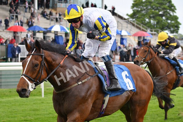 yr22052021r6-24 - Race 6 4.55pm Reg Bond
