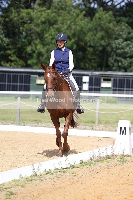 3E7A4007 - Class 9: Novice 6 Section B Championship