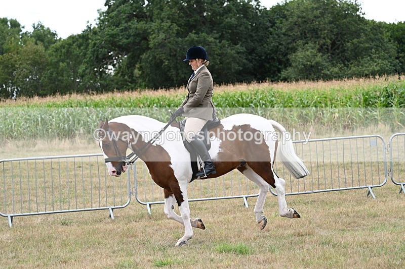 WJ7_5103 - Class 12 Ridden Cob