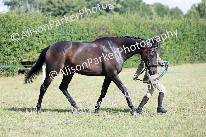 20250831-1581 - Class 21 - Inhand Open