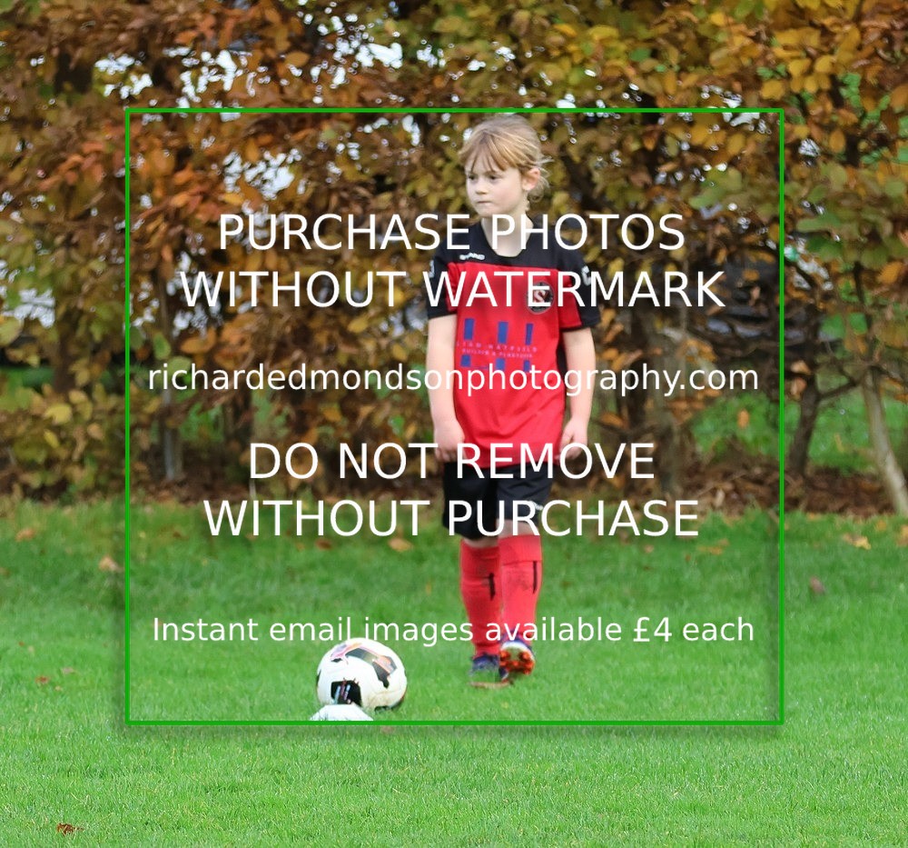 533A3238 - Kendal Utd U8's vs Sedbergh Wanderers Juniors U8 (8/11/25)