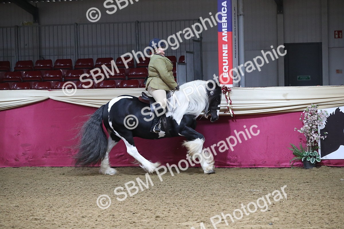 SBM_10382 - Class 102 Equitation (best rider) Adult