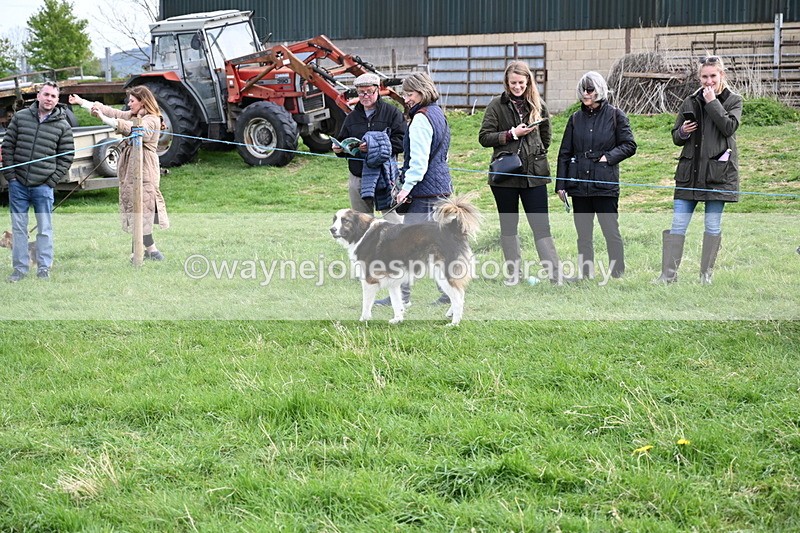 WJ6_8528 - Class 6 Best Rescue