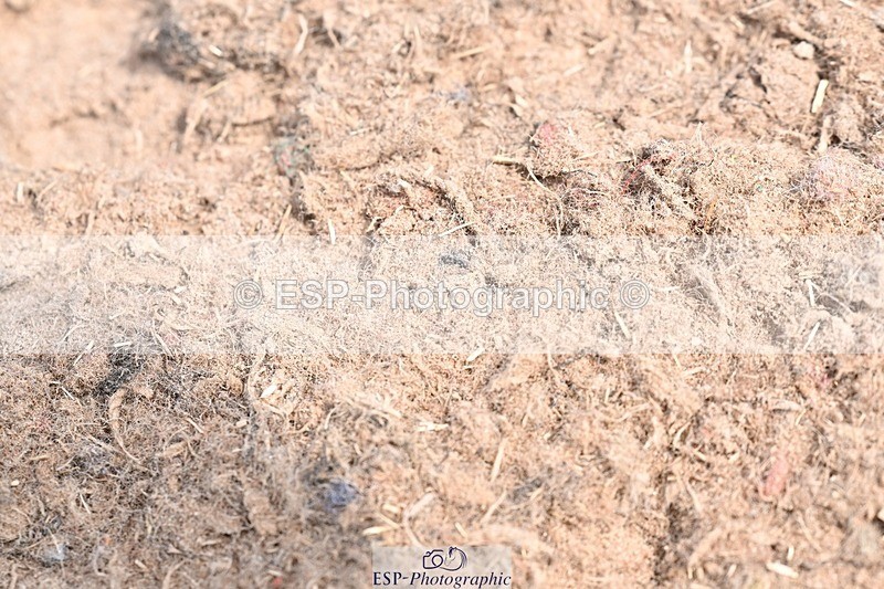 250620-105627-03147 - UnA Cls 3+4 - Prelim 1+2
