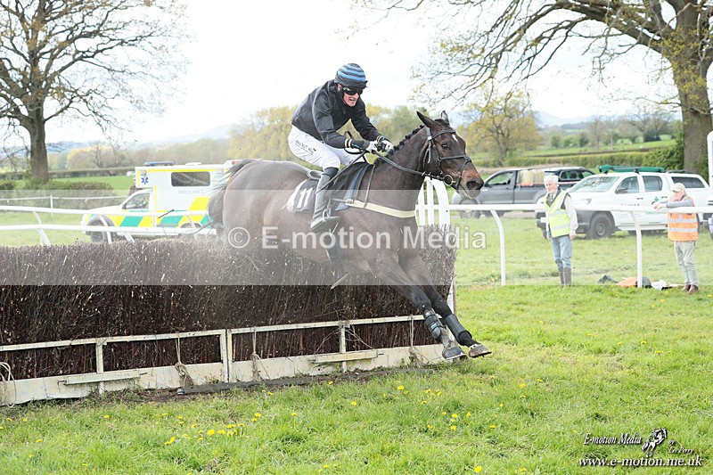 PtP 180426 569 - Worcestershire Hunt PtP Chaddesley Corbett 18/04/26