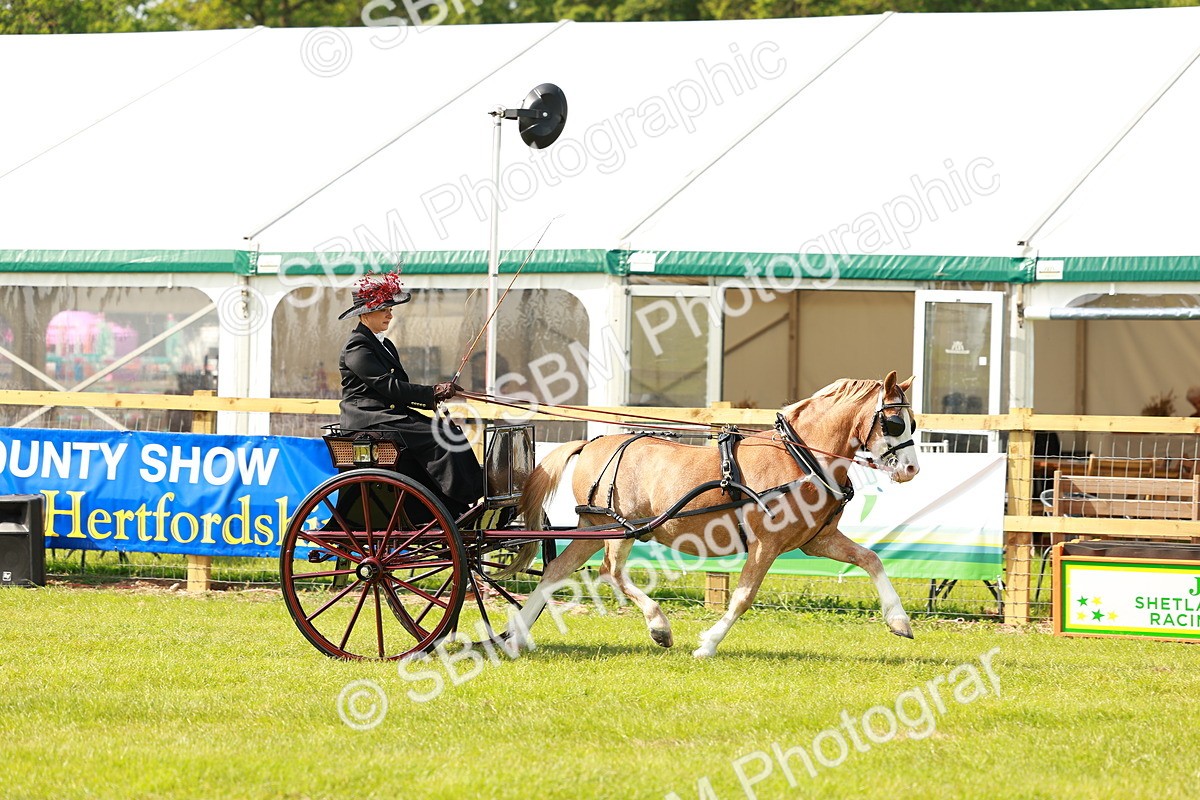 SBM_02544 - Class 2-4 - HOYS Private Driving