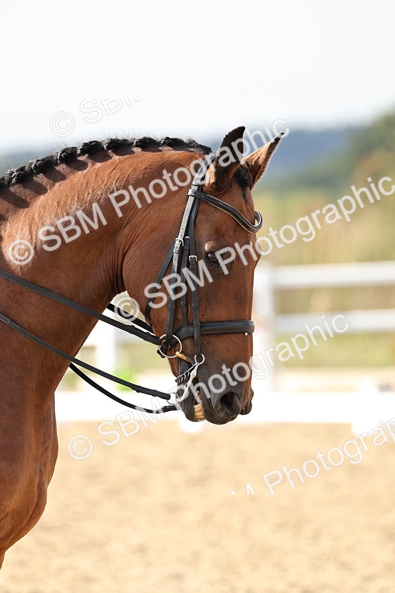 SBM_015430 - Class 9 - Advanced medium 3