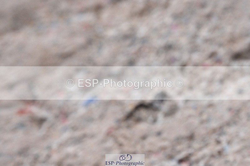 250907-175732-11442 - Closing Ceremony