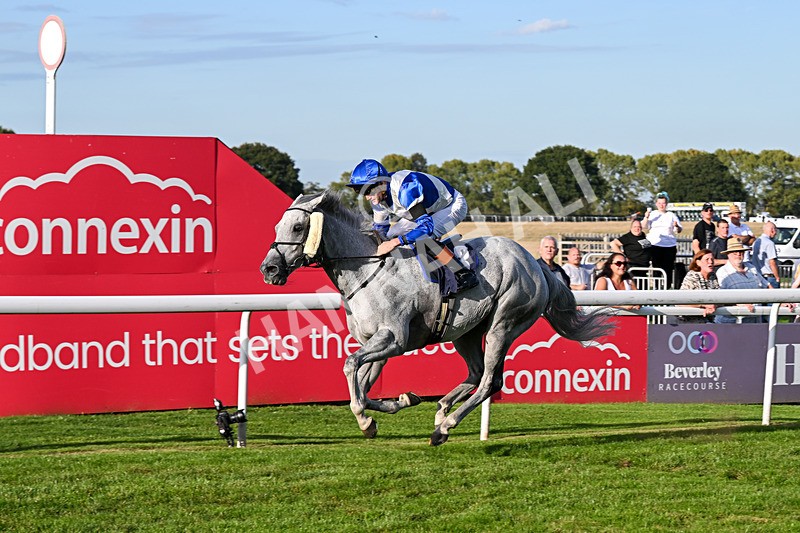 220926-Race 7-Mudamer-5053 - Race 7 5pm Fango Handicap (Div II)