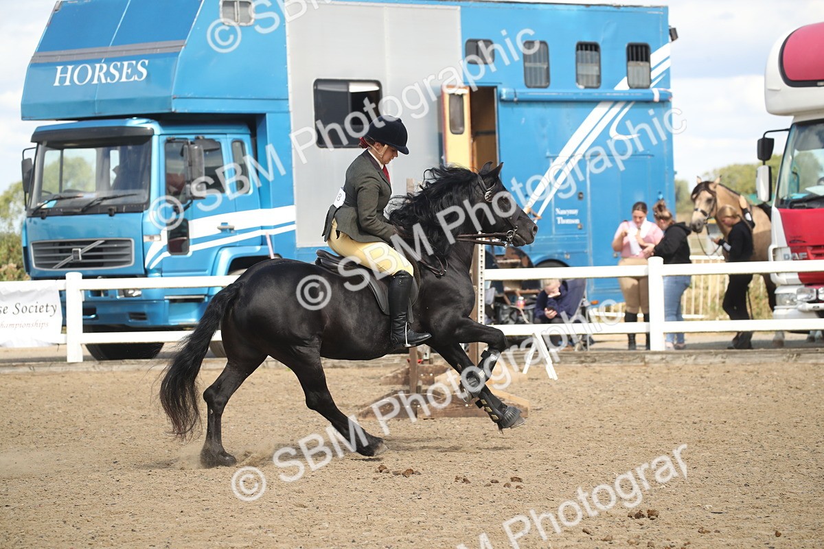 SBM_15167 - Class 505b - M&M Working Veteran - 50cm (20+)