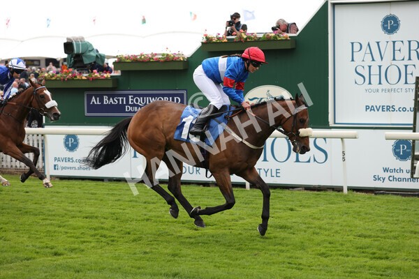 yr11062022r2-90 - Race 2 2.00pm Queen Mother's Cup