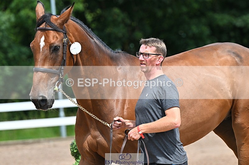 240718A-105312-01699 - Trot Up 1pm to 2pm