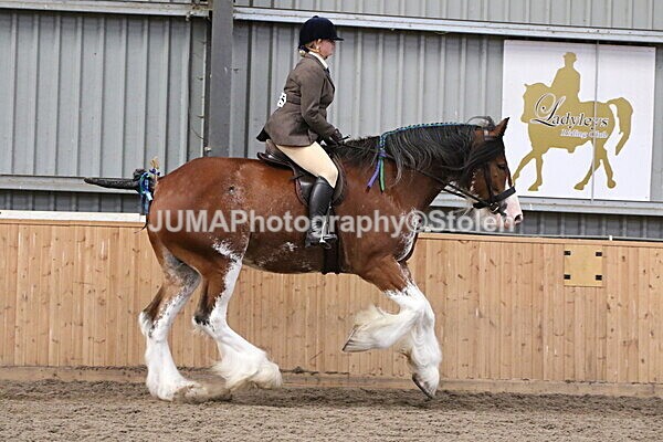 SIAL2463 - Sunday 14th Ridden