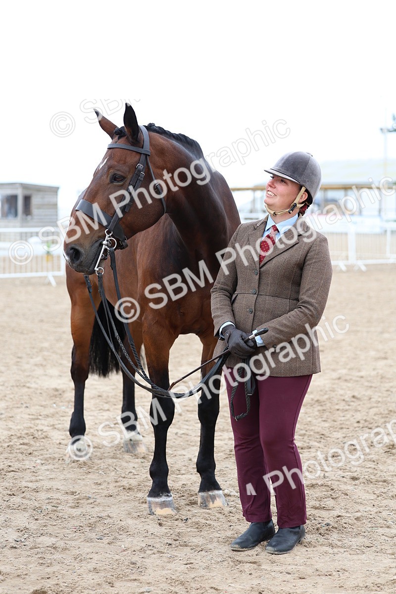 SBM_05744 - Class 28 - IH Veteran Horse