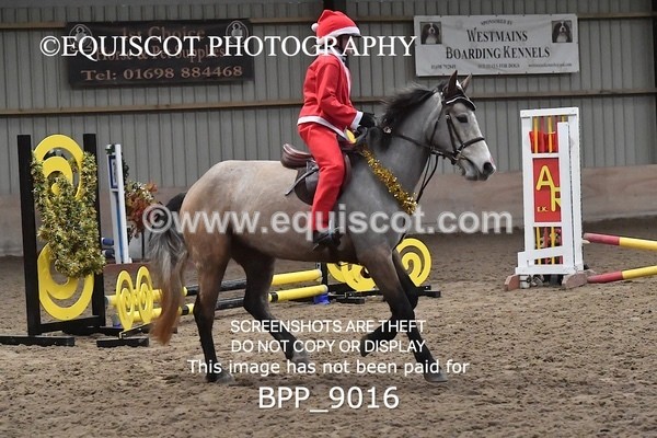 BPP_9016 - CLASS 2 40CM Nursery Jumping