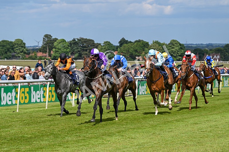 080624-Race 5-Ludos Landing-1451