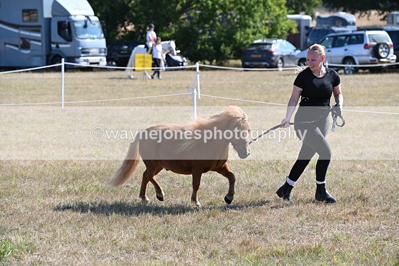 WJ6_7271 - Class 33 Rescue Pony