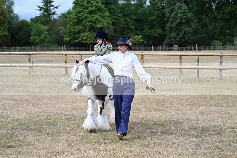WJ7_6253 - Class 1 Lead Rein Pony