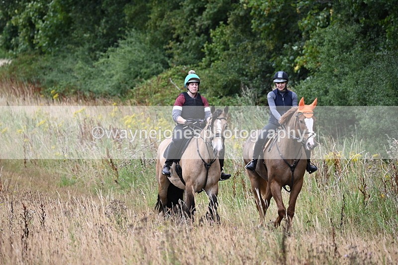 WJ6_2464 - Group 7