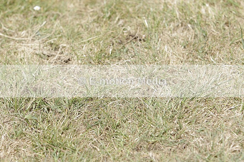 BVHT 140517 I-917 - Class 1 SJ Intermediate 14/05/17