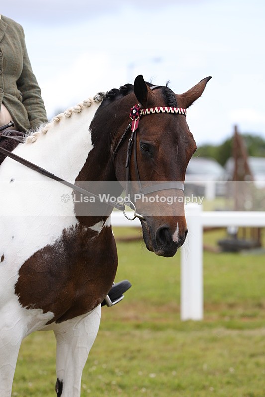 1X9A4453 - Class 34: Veteran Ridden