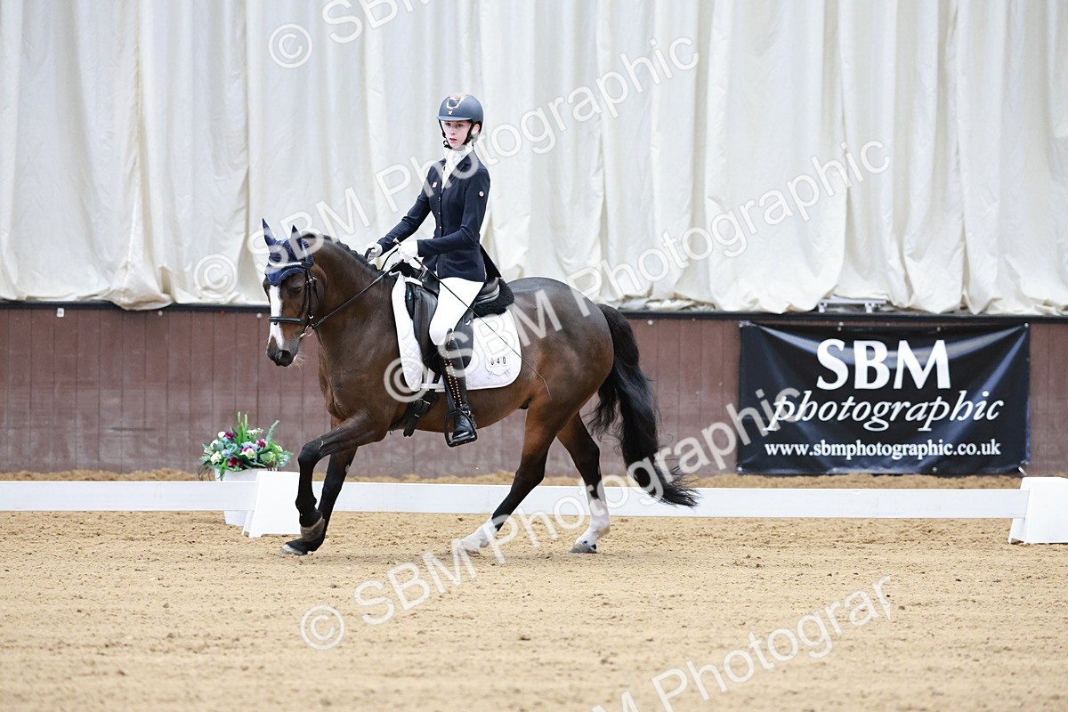 SBM_016811 - Class15 - FEI Pony